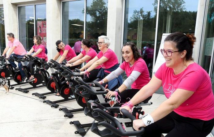 Carcassonne. “The great initiative” of the health center