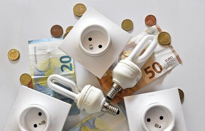 The government will increase the tax on electricity in February 2025: what impact will it have on your bill?