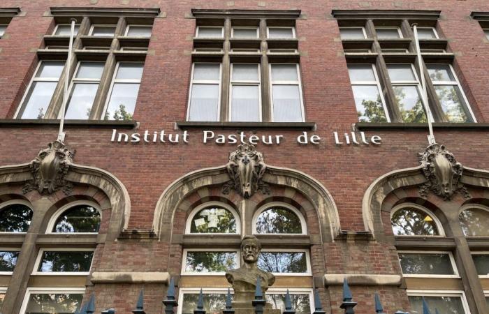 Why is the Pasteur Institute in great danger in Lille?