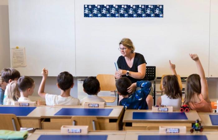 Switzerland: the right will attack inclusive schools