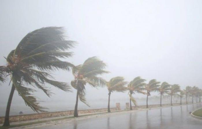 Locally heavy thunderstorms with hail and gusty winds until Monday