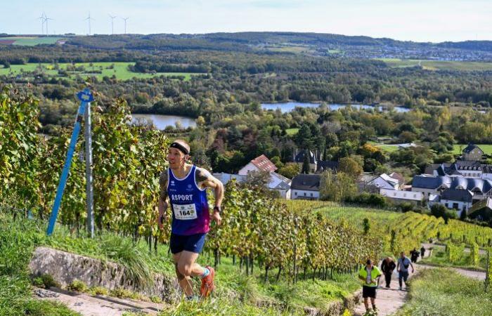 [En images] A trail in the Moselle vineyards