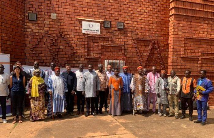 Fight against dengue in Burkina: The DengRIP project officially launched