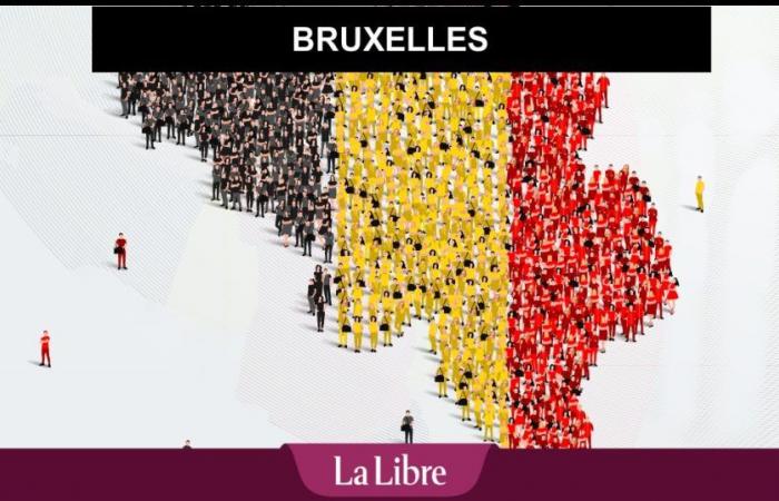 2024 elections in Brussels: the results of the municipal and provincial elections in Belgium will be available live on this page!