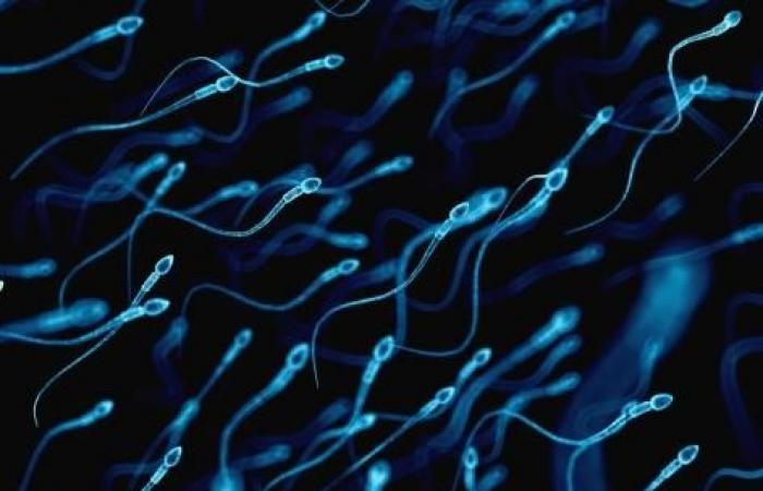 defective sperm would double the risk of pre-eclampsia