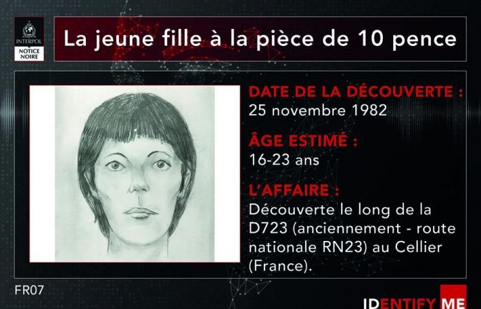 Interpol launches a call for witnesses to identify “the young girl with the 10 pence coin” found dead in Loire-Atlantique in 1982