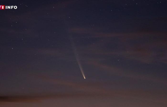 “Comet of the century”: the most beautiful images of its return visible to the naked eye (or almost) in France