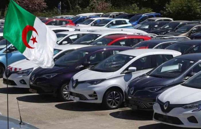 PLF 2025: what will change for the importation of vehicles less than 3 years old in Algeria