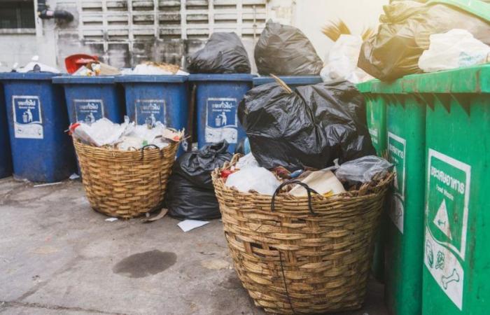 This young man turns trash into gold and earns €60,000