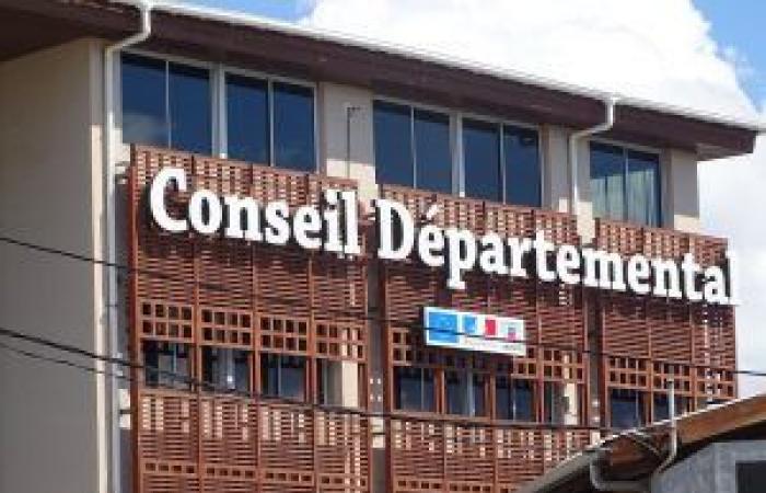 The Department of Mayotte supports Zena Airlines but “the companies will have to make efforts”, affirms Ben Issa Ousseni