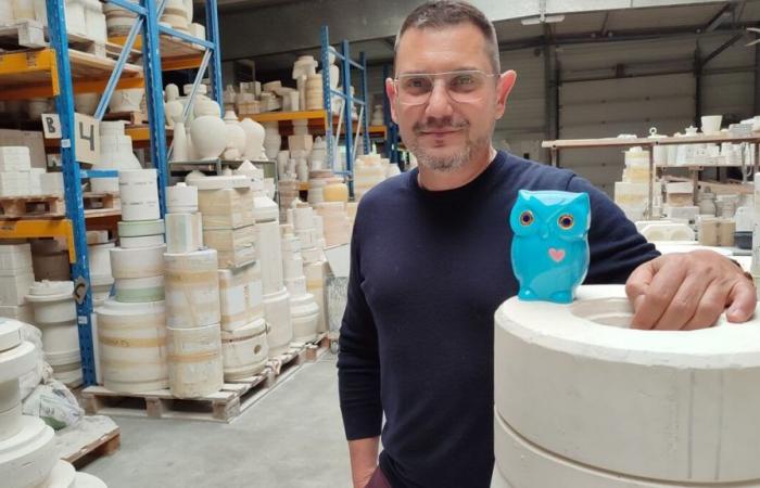 Meurthe-et-Moselle: the Émaux de Longwy factory is banking on a blue owl to replenish its coffers