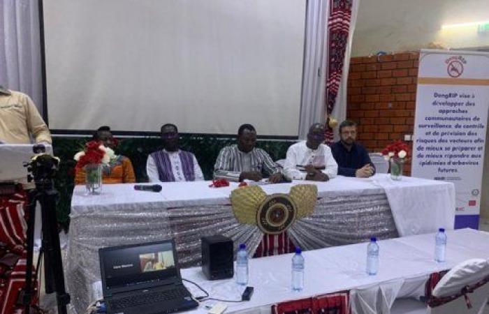 Fight against dengue in Burkina: The DengRIP project officially launched