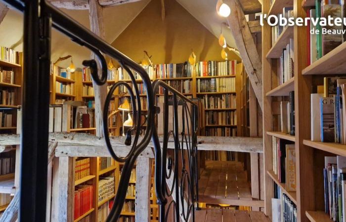 the 13,000 books of the Patrick-Ansar library illuminated by Marion’s lighting fixtures