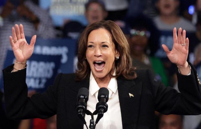 Presidential campaign: Kamala Harris and Donald Trump still neck and neck