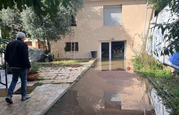 Floods in Essonne: schools, hospital… A gradual return to normal despite the slow decline of the Barley