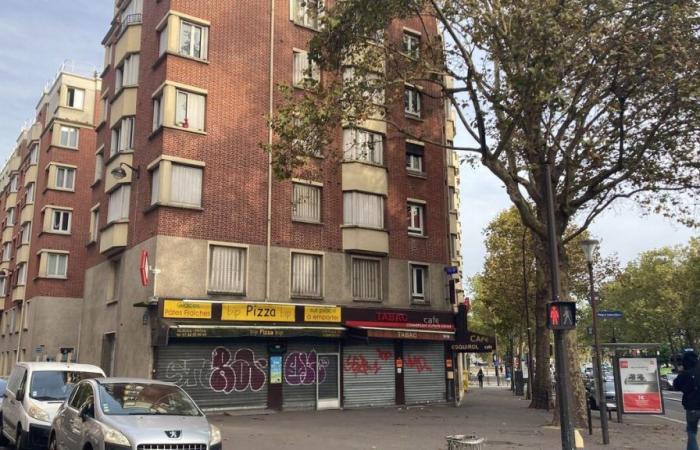 Paris: an octogenarian victim of an attempted throat slitting at her home