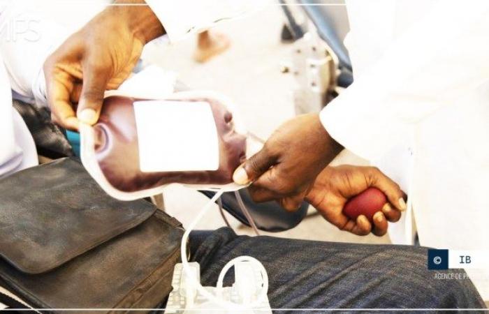 Senegalese invited to donate blood to save lives