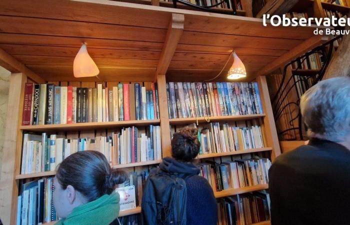 the 13,000 books of the Patrick-Ansar library illuminated by Marion’s lighting fixtures