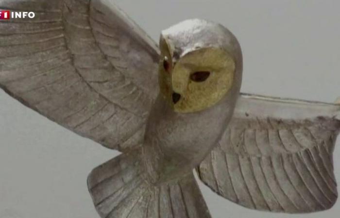 The “Golden Owl” has indeed been found… and will soon be the subject of a sequel and a film