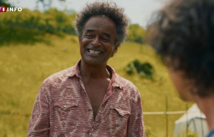 “We did some tests, they seemed happy”: tennis player then singer, Yannick Noah (finally) makes his cinema debut