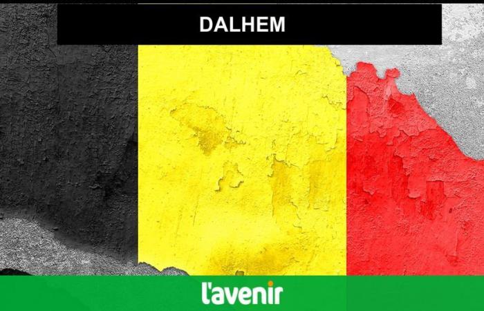 Discover the first results of the elections in Dalhem – Everything you need to know about the 2024 municipal and provincial elections in Belgium