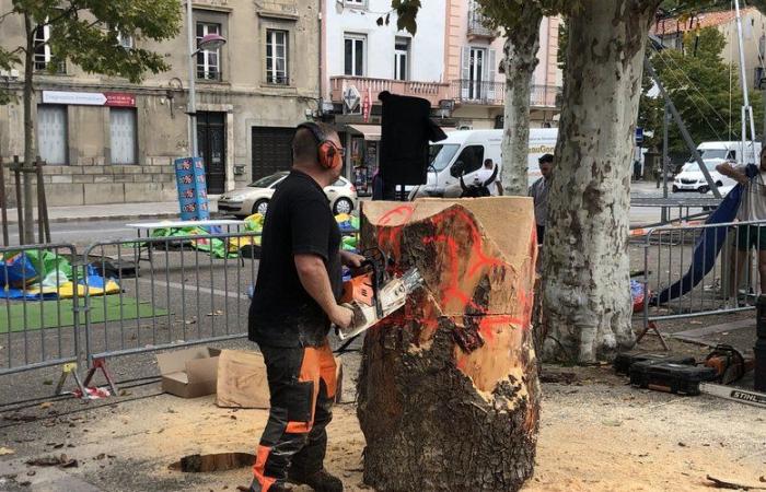 “I can see things inside wood in three dimensions”, the double French champion of wood sculpture at the Foire de la Barguillère