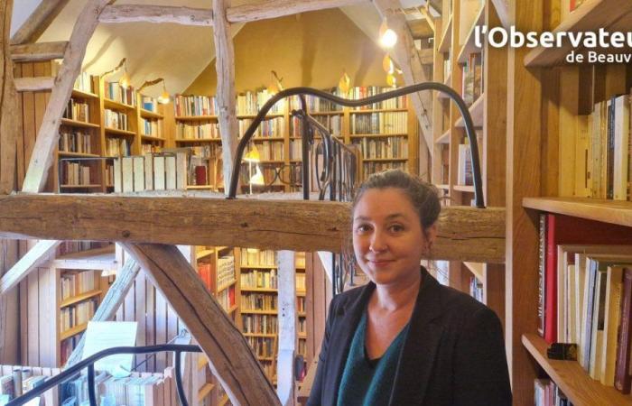 the 13,000 books of the Patrick-Ansar library illuminated by Marion’s lighting fixtures