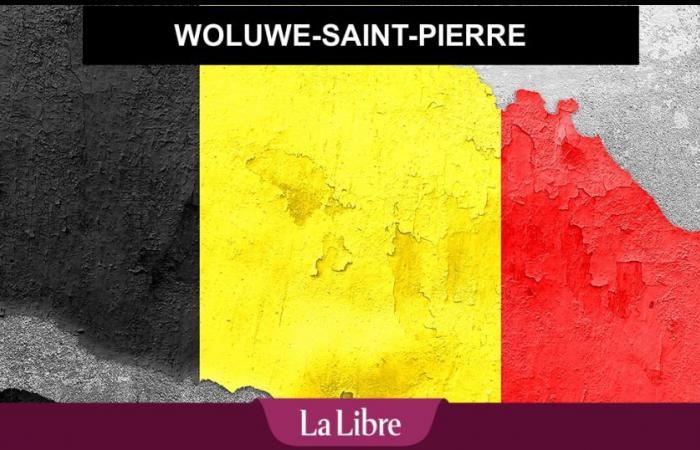 2024 elections in Woluwe-Saint-Pierre: the results of the municipal and provincial elections in Belgium will be available live on this page!