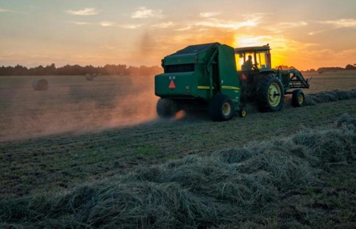 France: they resolve a family conflict by driving into it in a tractor