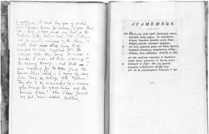 Virginia Woolf’s notes in open access