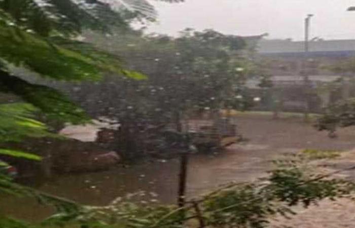 IMD issues yellow alert for seven districts in Kerala