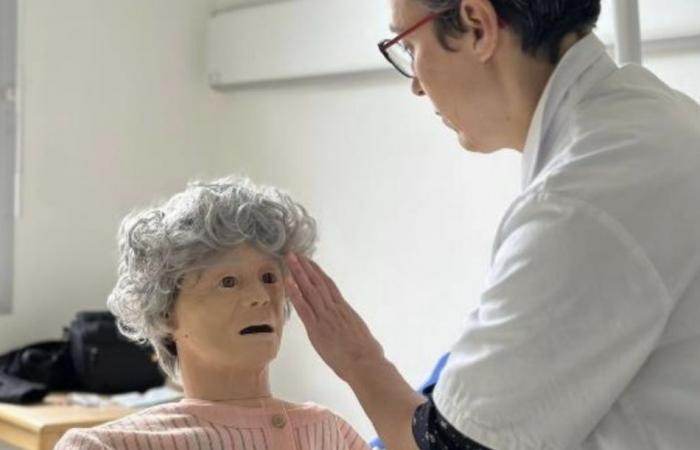 a brand new training concept dedicated to the care of the elderly