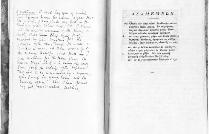 Virginia Woolf’s notes in open access