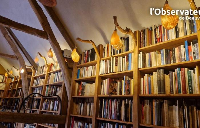 the 13,000 books of the Patrick-Ansar library illuminated by Marion’s lighting fixtures