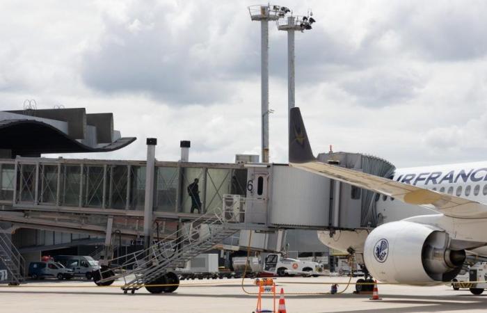 the airport, a heavyweight in air travel and the regional economy