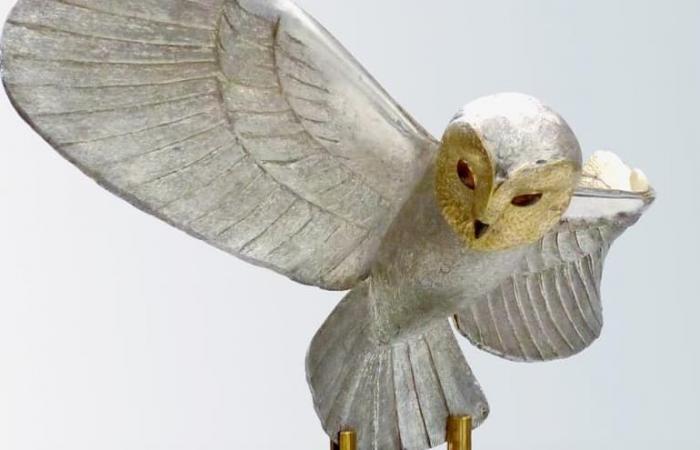 After the discovery of the Golden Owl, the co-creator announces a “sequel” and a film in 2025