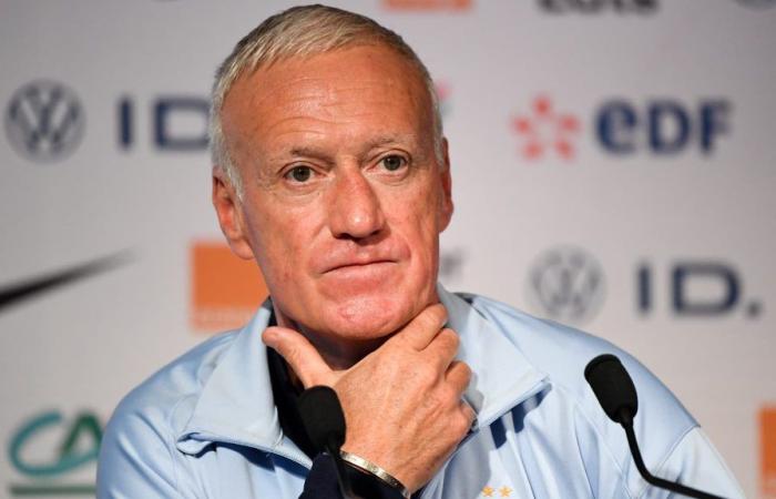 when a butterfly disrupts the press conference of Deschamps and Tchouaméni