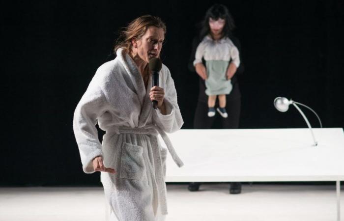 Theater review: “Cécile” by Marion Duval, a play to question identity