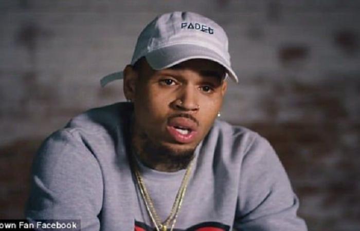 A petition launched against a Chris Brown concert