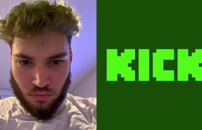 Adin Ross claims Kick will introduce a way for viewers to get real-life money for watching streams