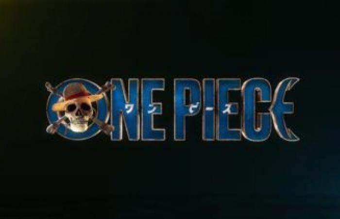 One Piece anime going on hiatus