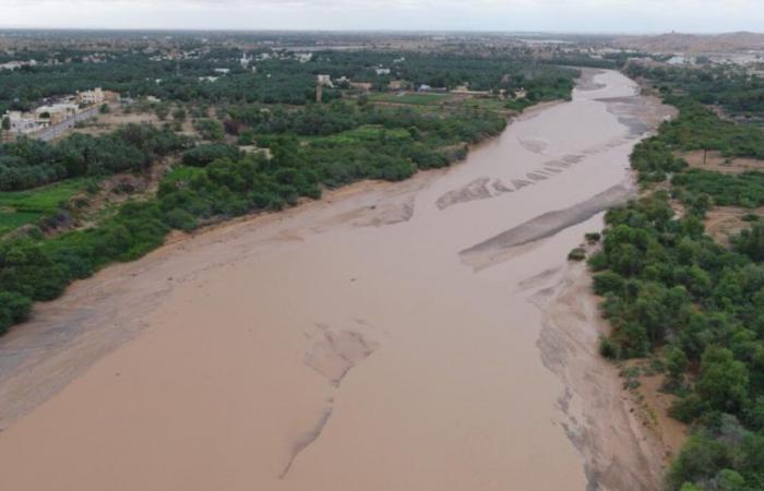 Severe weather alert in Oman: Work, schools suspended on October 15 – News