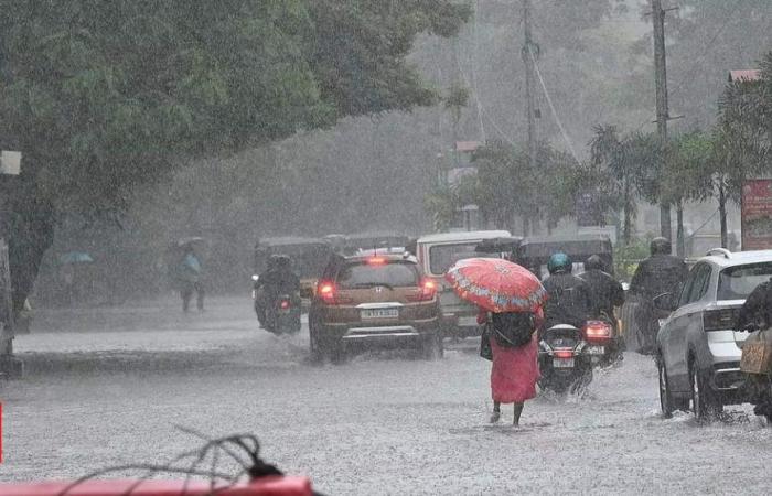 Tamil Nadu rain: Holiday declared for schools and colleges in these districts; IT companies advised to opt for WFH | Chennai News