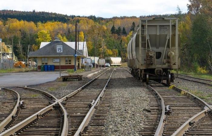 An economic study to develop the south of Gaspésie