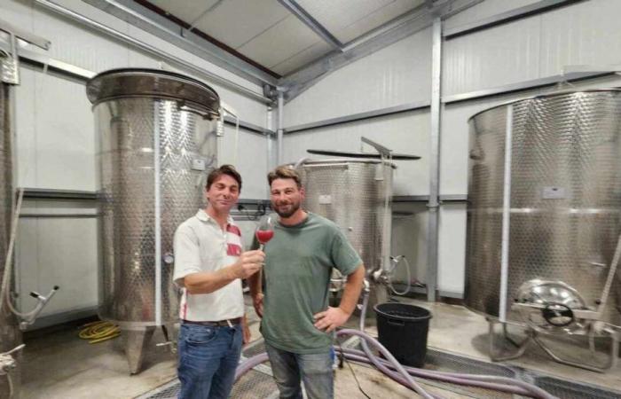 Made in Seine-et-Marne, the first bottles of wine produced by Aurélien and Florian await you