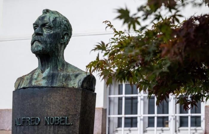 The Nobel Prize in Economics awarded to Daron Acemoglu (USA/Türkiye), Simon Johnson (GB/USA) and James A. Robinson (GB/USA)