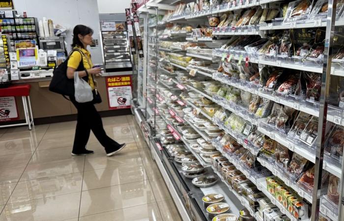 7-Eleven in Japan | Fried chicken, persimmon and umbrellas