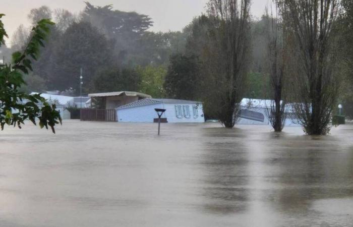 A surge of solidarity to save a campsite “after this catastrophic storm” in Loire-Atlantique