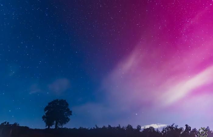 Photos: magnificent northern lights lit up the sky over Gironde