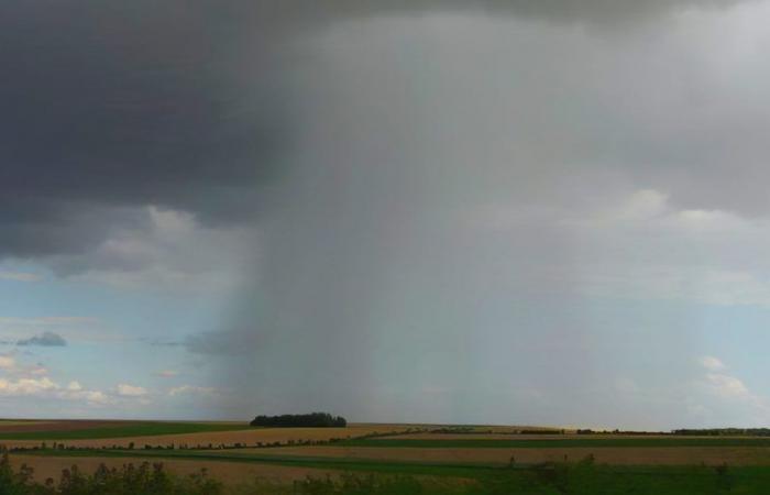 Weather Alert. Heavy thunderstorms, accompanied by hail and gusts of wind, from this Saturday to Monday in several provinces